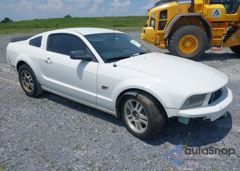 2006 Ford Mustang Gt from USA, damaged, VIN 1ZVFT82H065159239